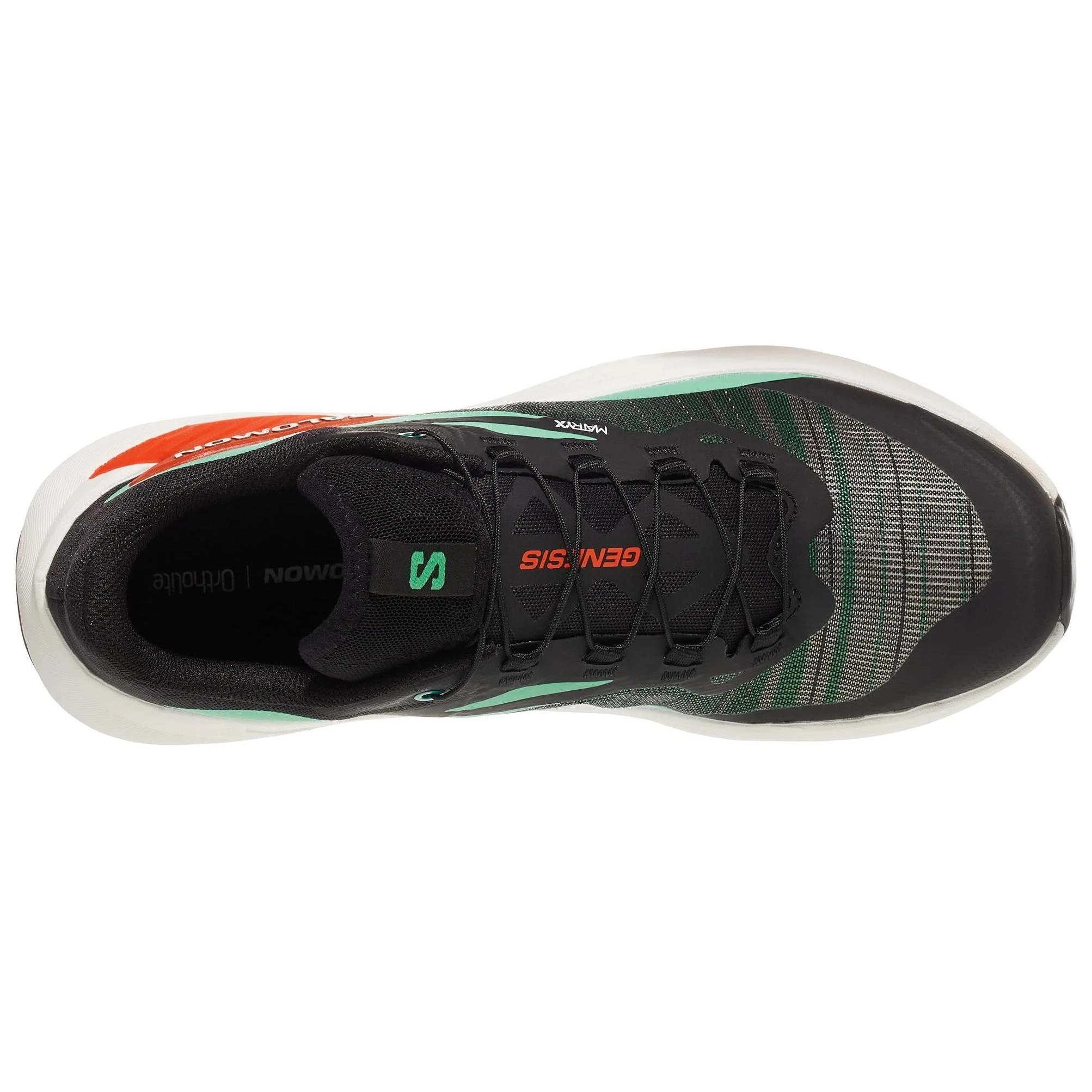SALOMON GENESIS