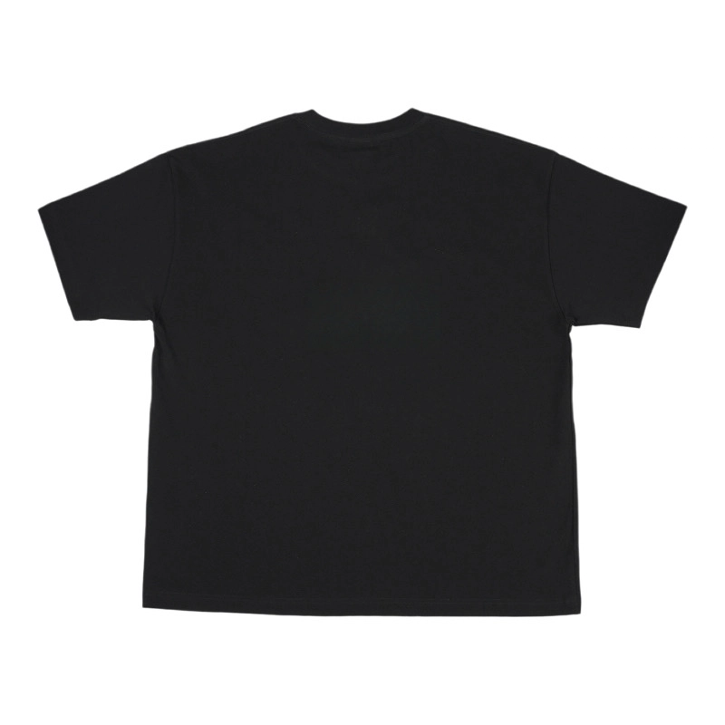 Revenge T
