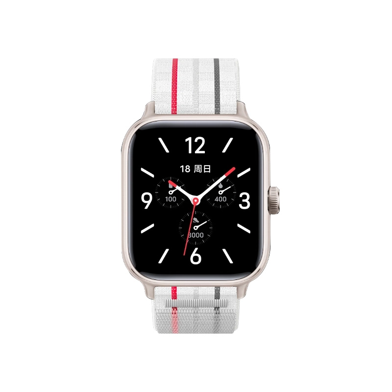 FZRT iQOO GTvivo watch gt