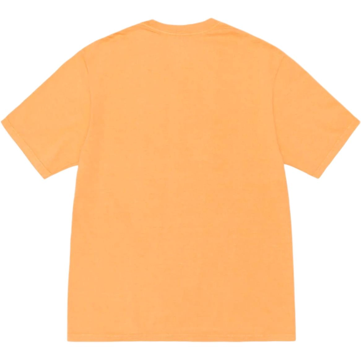 Stussy T