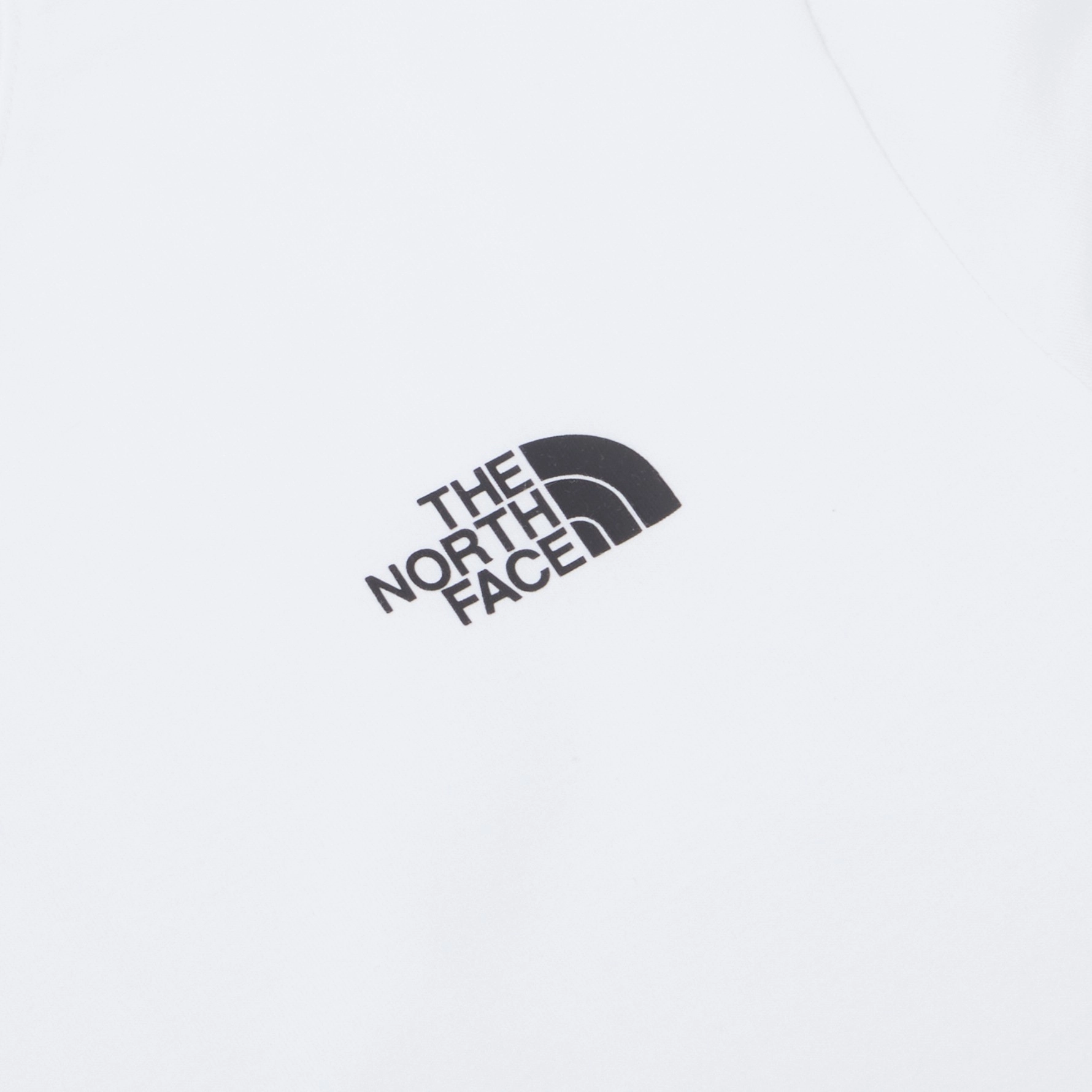 THE NORTH FACE Logo T