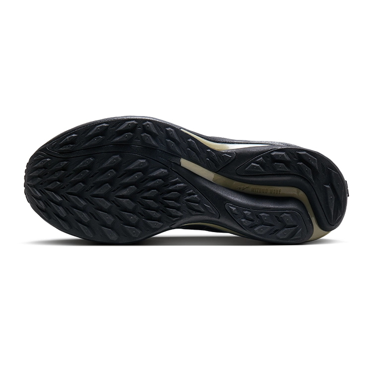 Mizuno WAVE RIDER GTX 2