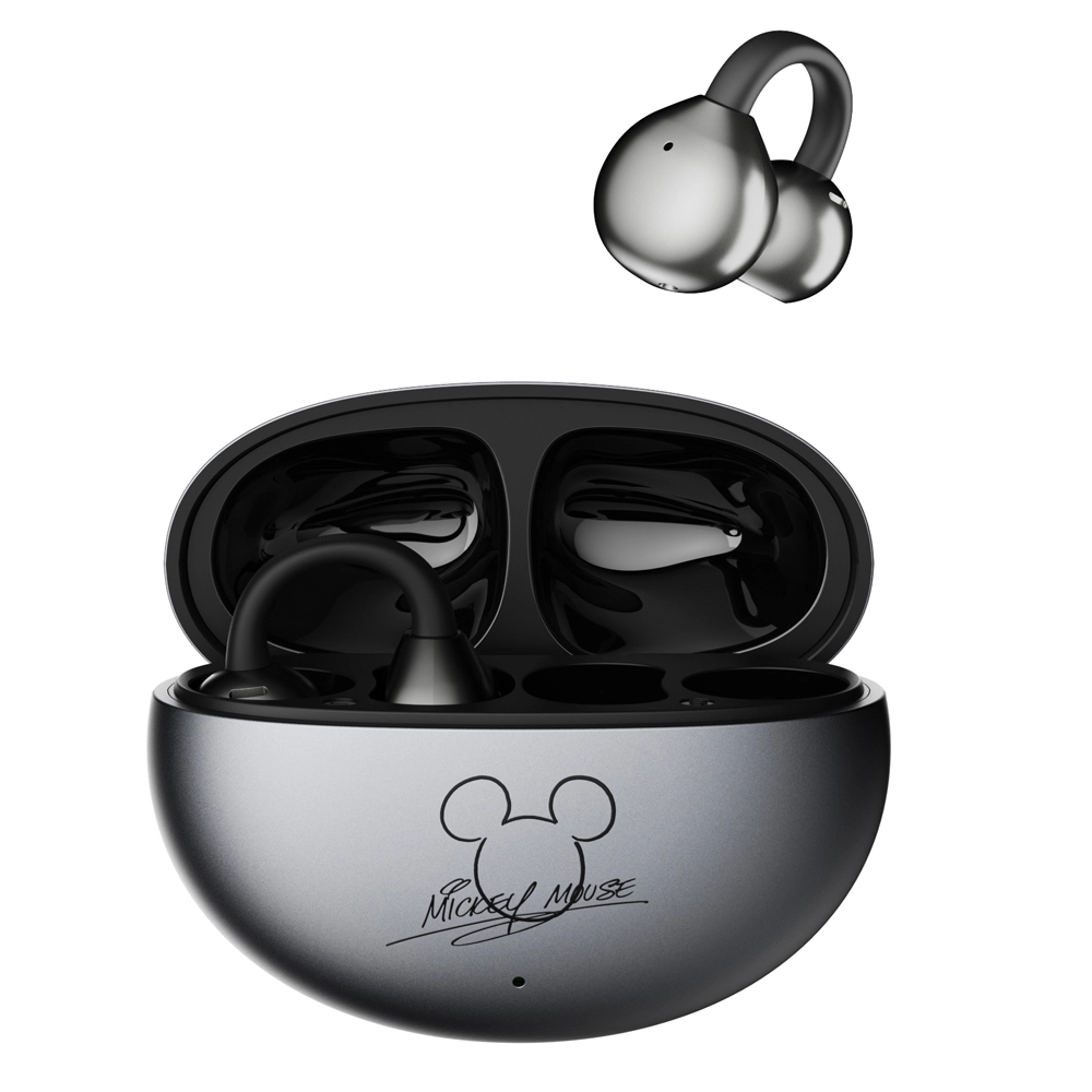 Disney QS-T31 5.4