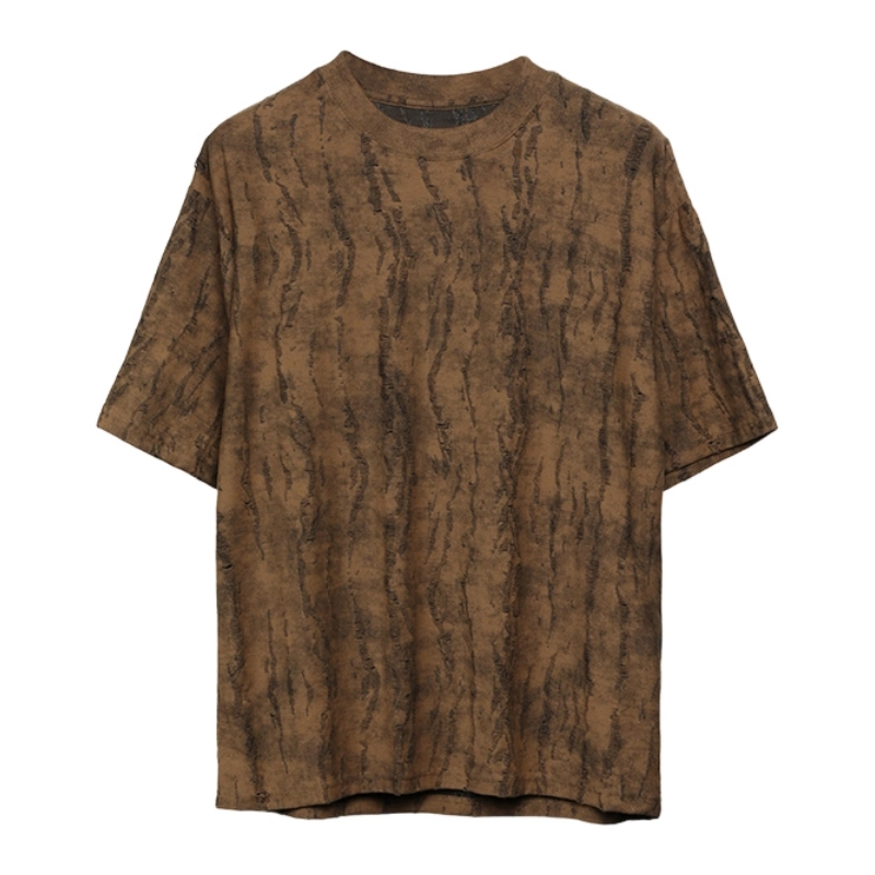RAYSHOW T
