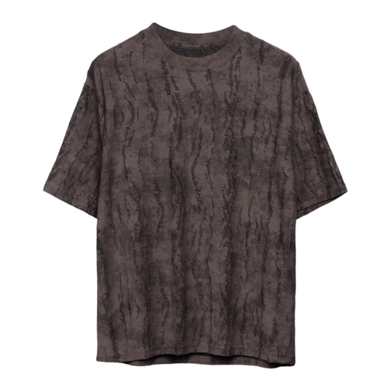 RAYSHOW T