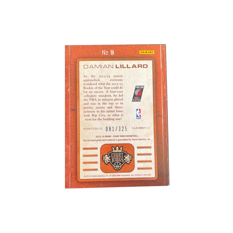 PANINI 2013-14 081325