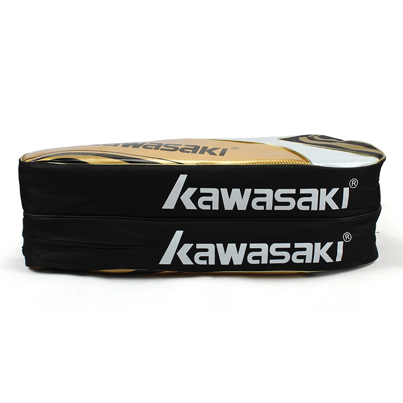 Kawasaki 6