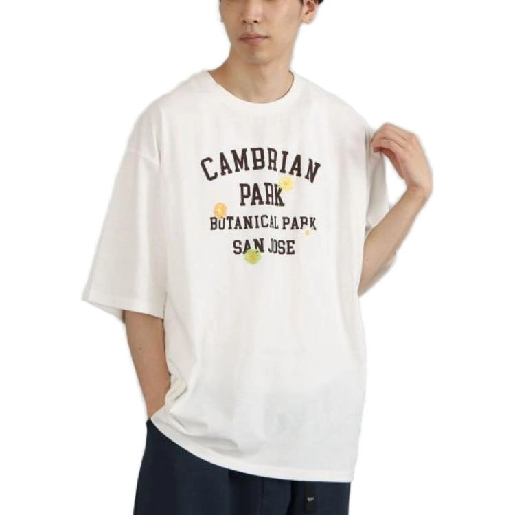 beams T
