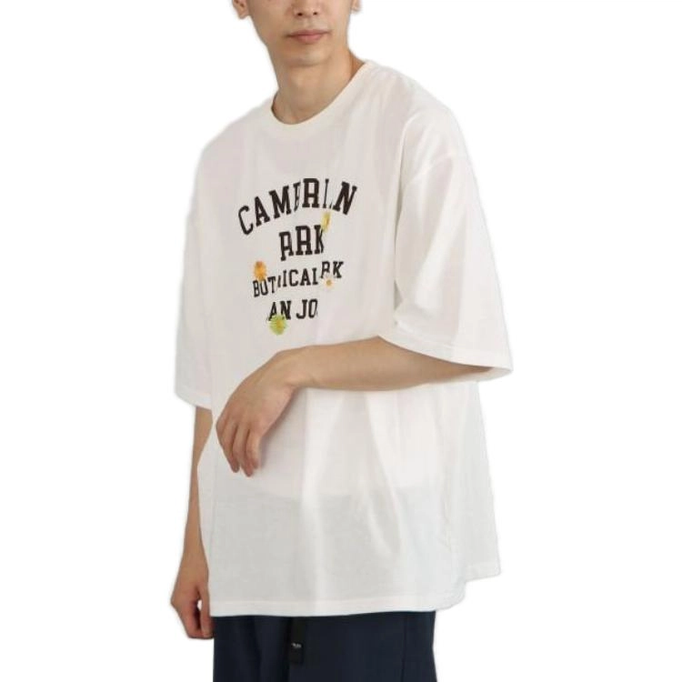 beams T