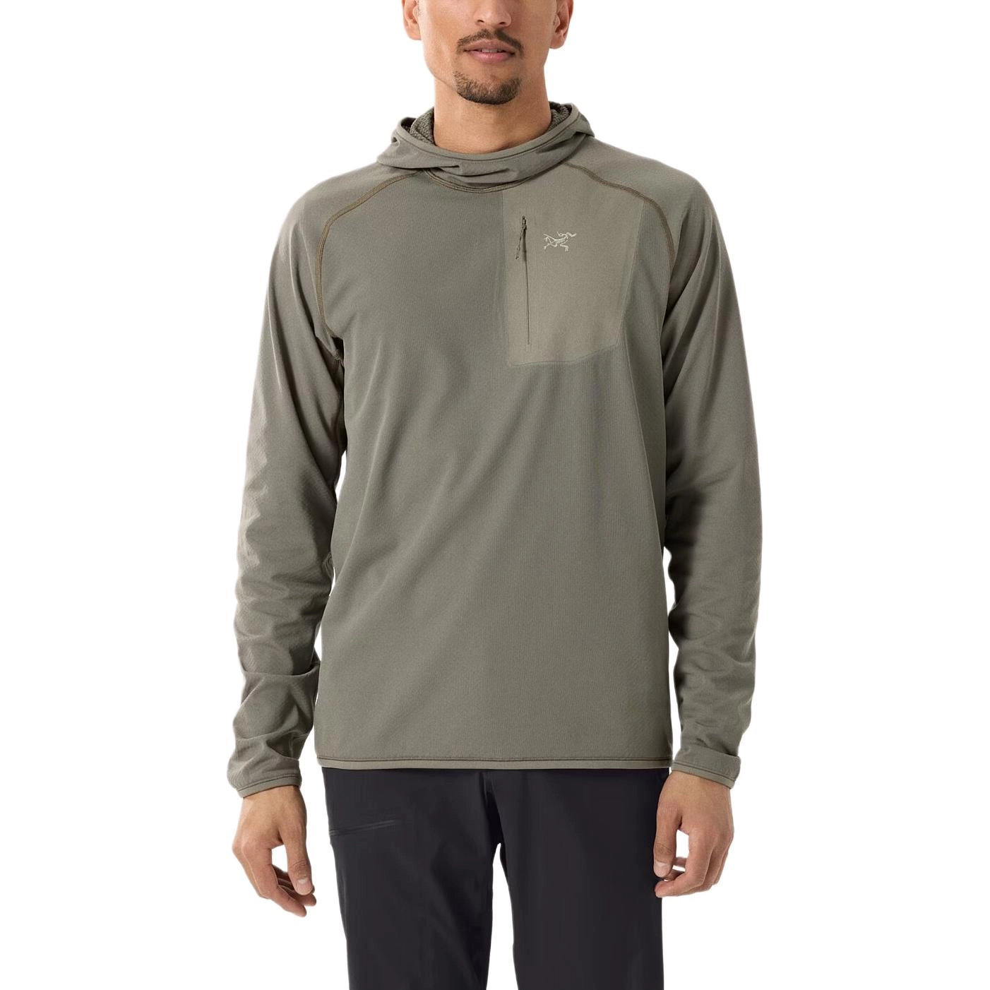 Arcteryx Delta pullover hoody T