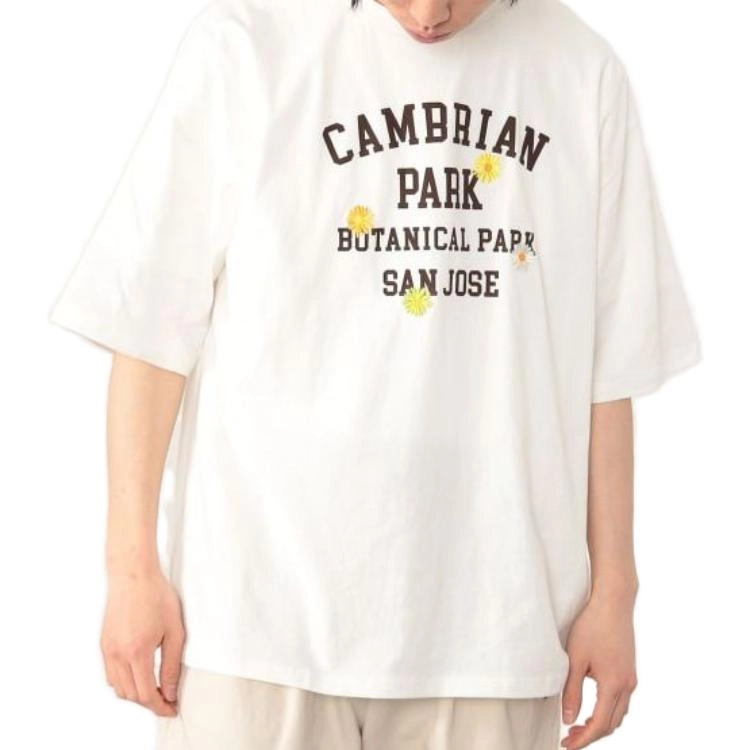 beams T