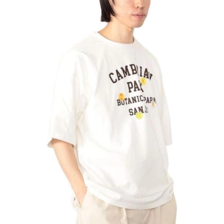beams T