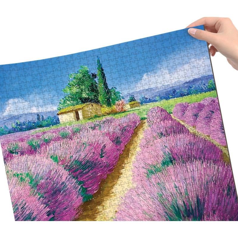 1000pcs