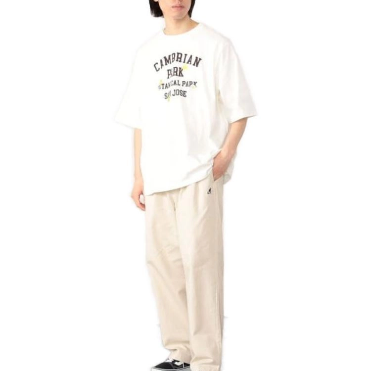 beams T