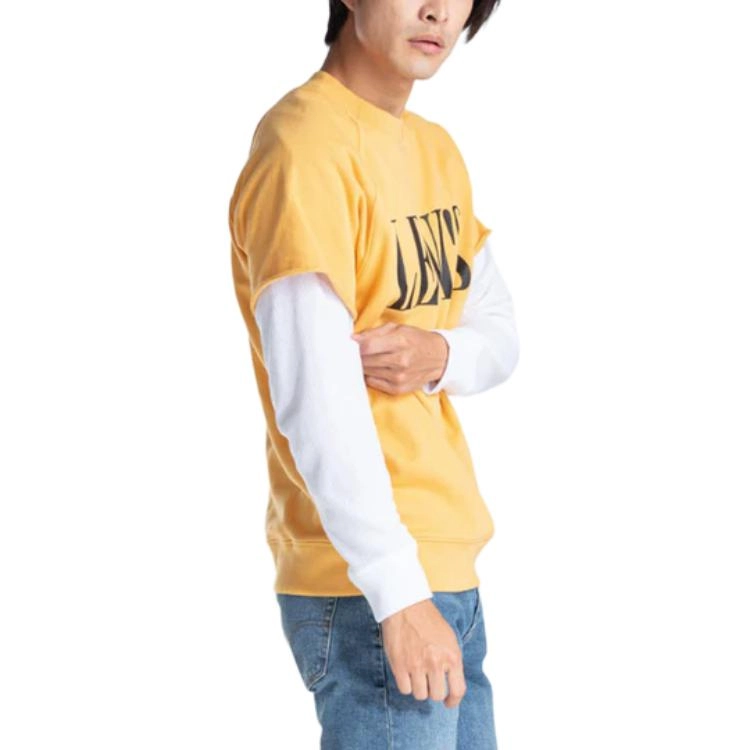 levis T