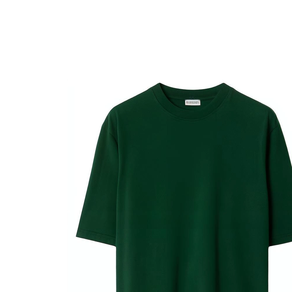 Burberry SS24 T