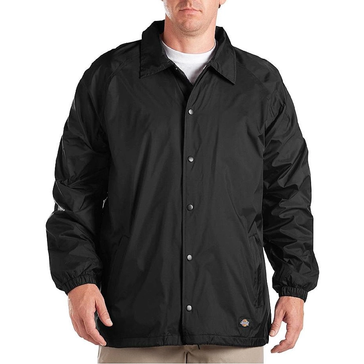 Dickies Logo