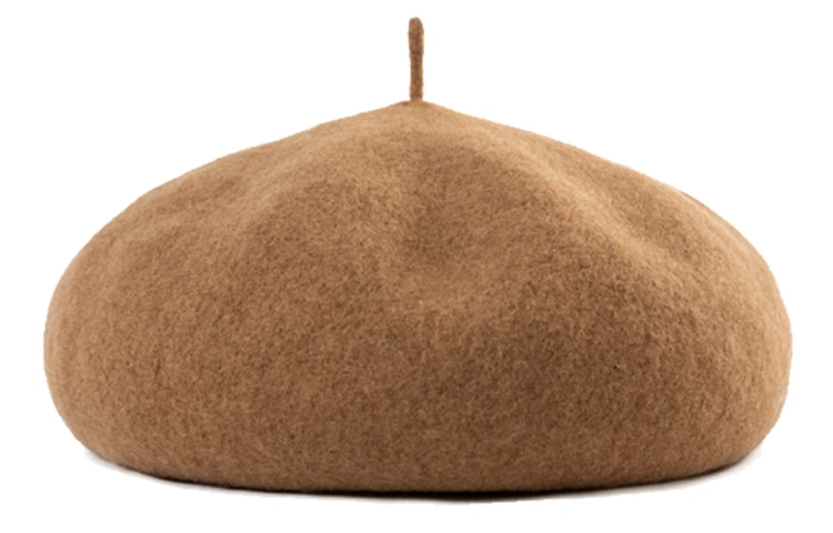 Fancet studios 100