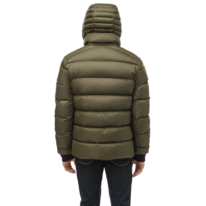 nobis OLIVER