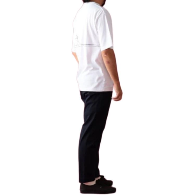 beams T
