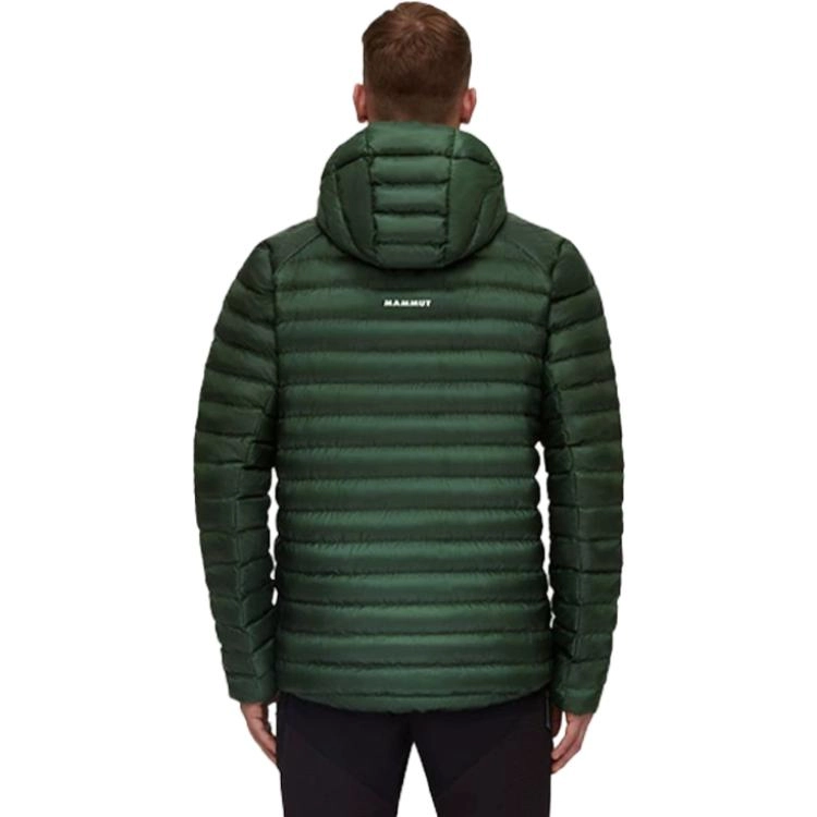 MAMMUT Albula