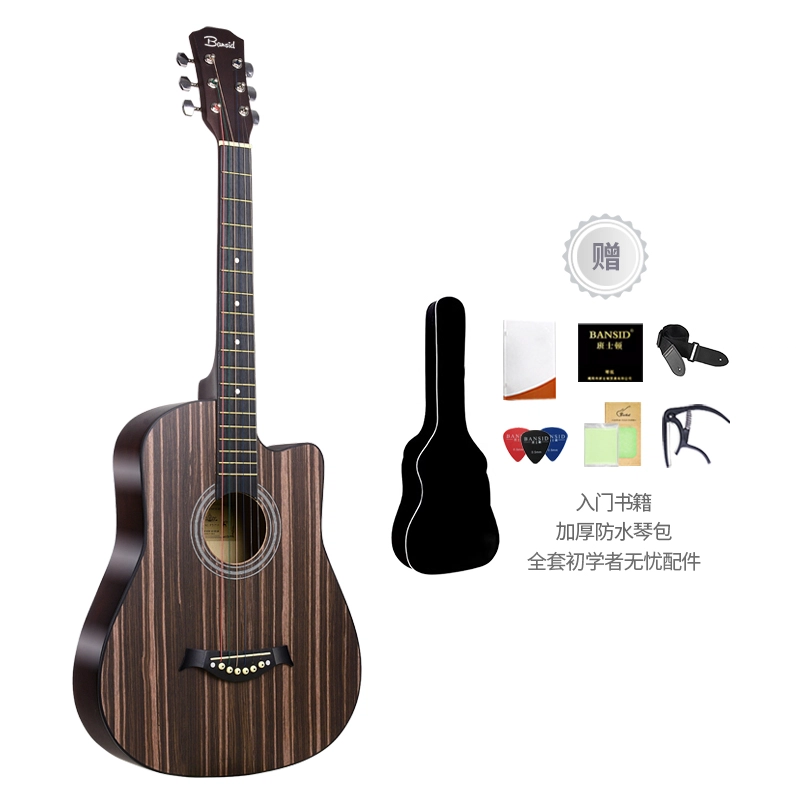 BANSID R-B77C
