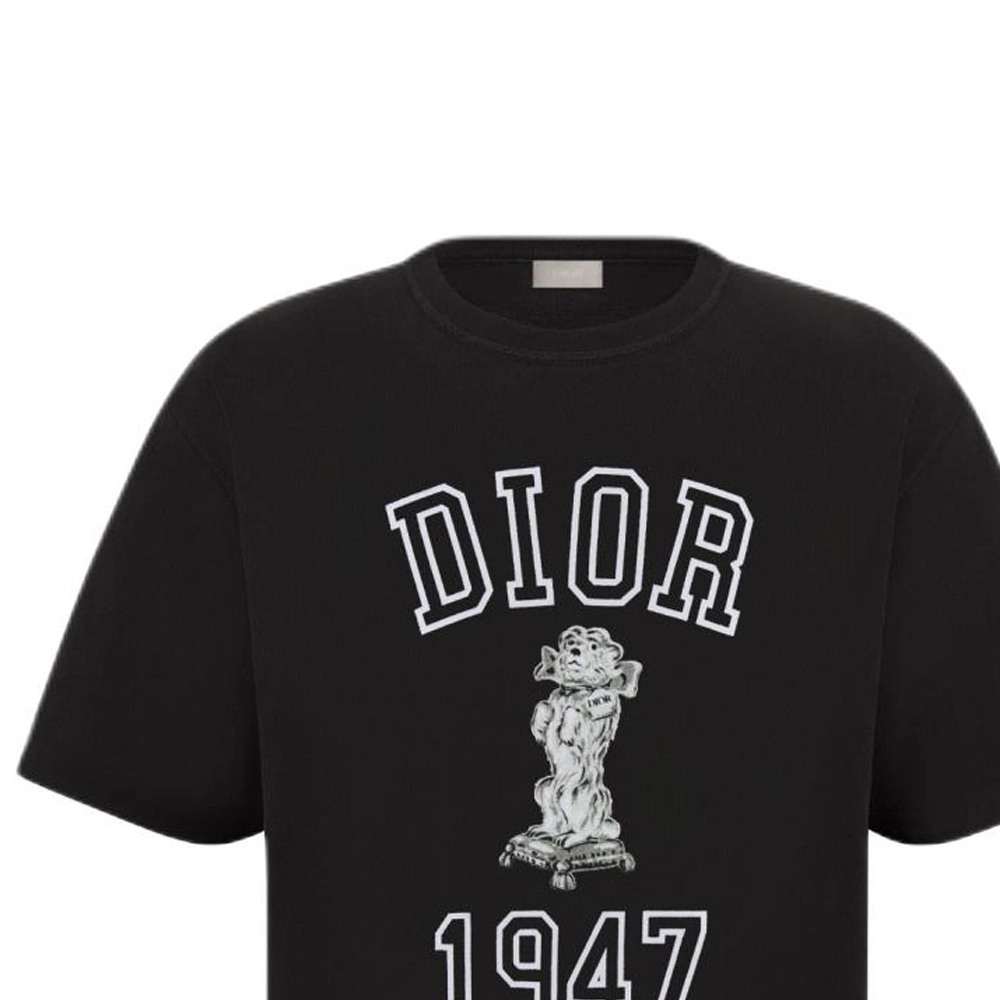 DIOR T