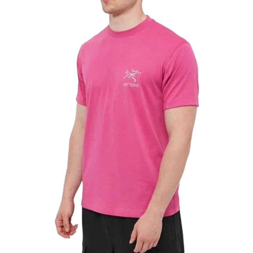 Arcteryx SYSTEM_A Copal Bird T-shirt Men's LogoT