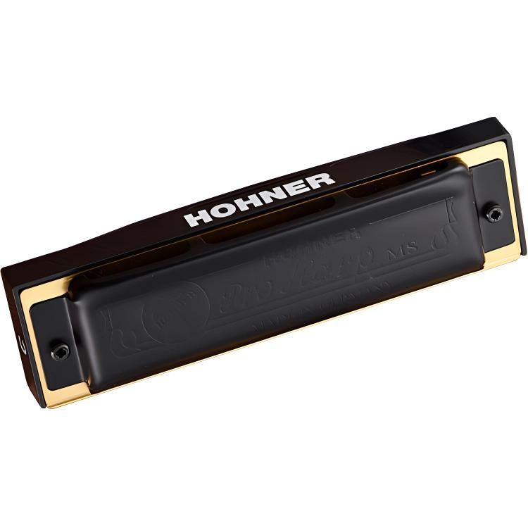 HOHNER PRO HARP Blues 10