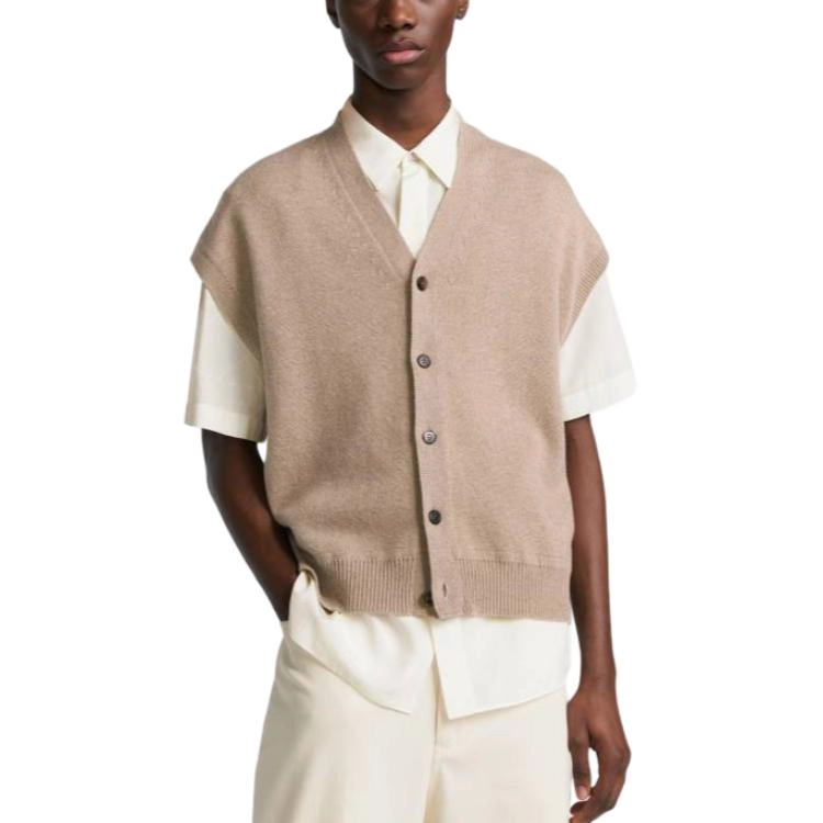DIOR V