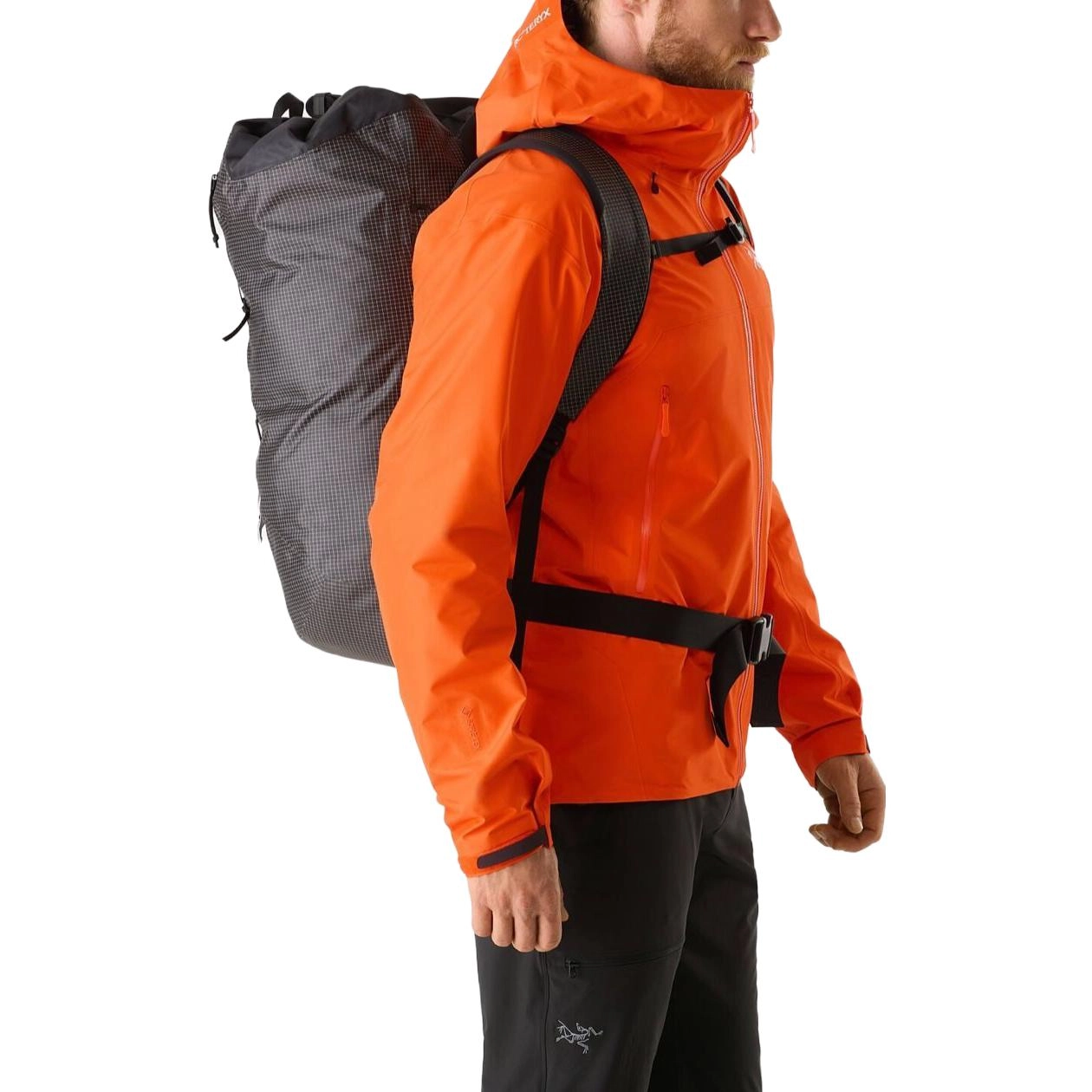 Arcteryx beta lightweight gore-tex Beta Logo