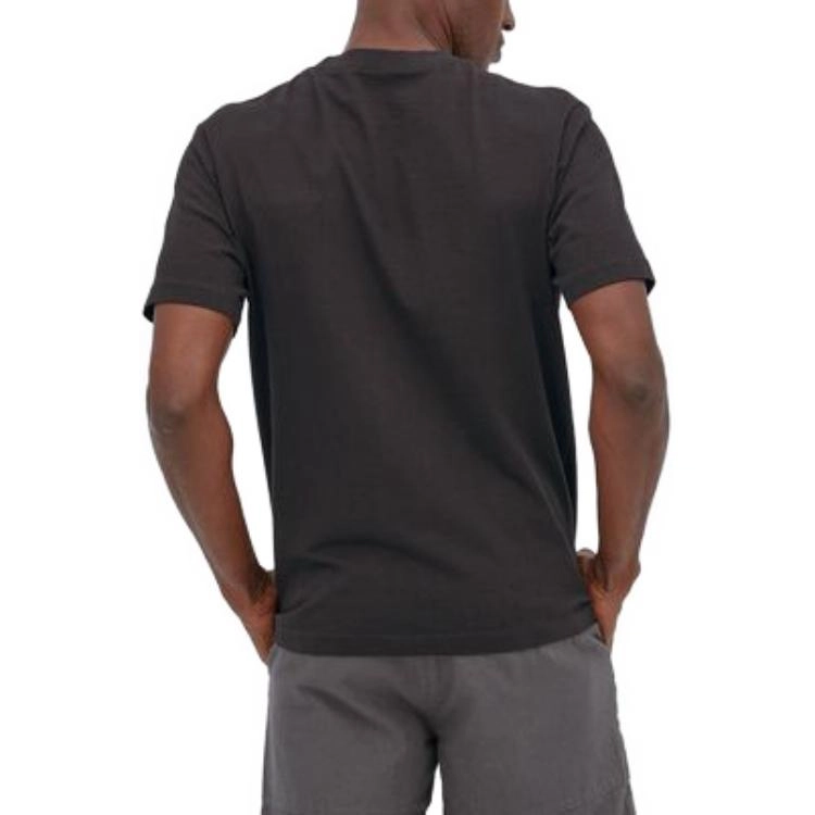 patagonia T