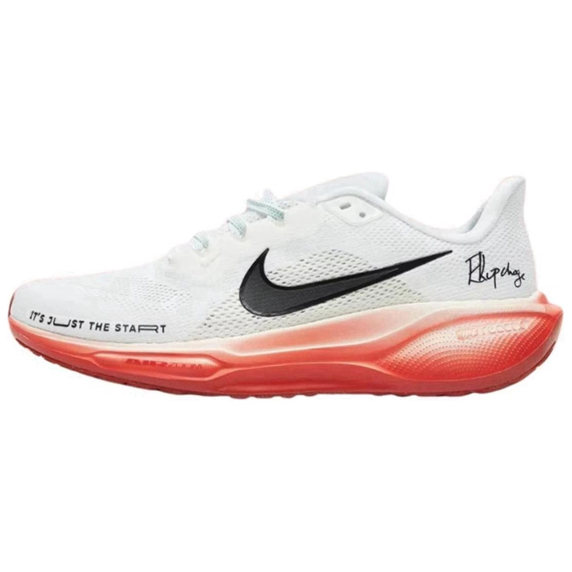 Nike Air Zoom Pegasus 41