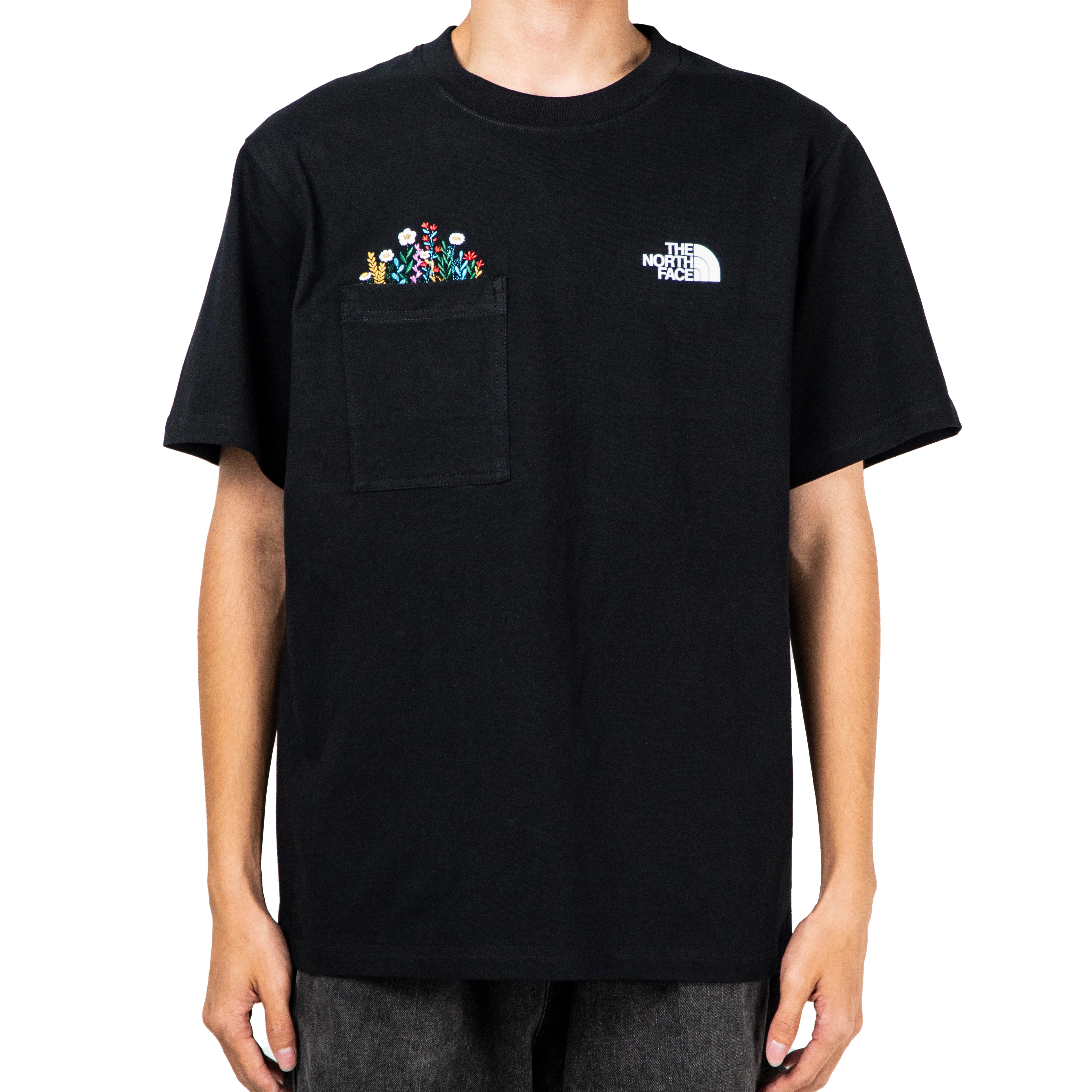 THE NORTH FACE logoT