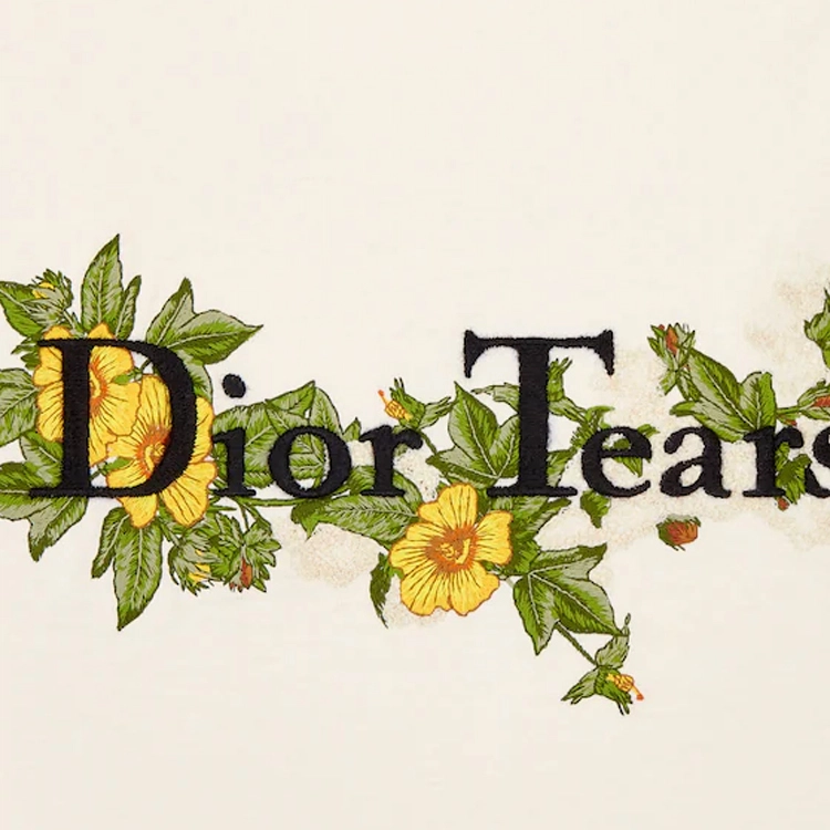 DIOR SS23 Tears T