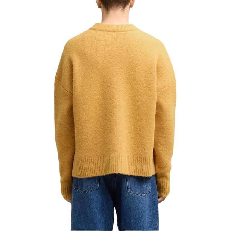 AMIPARIS FW24 V