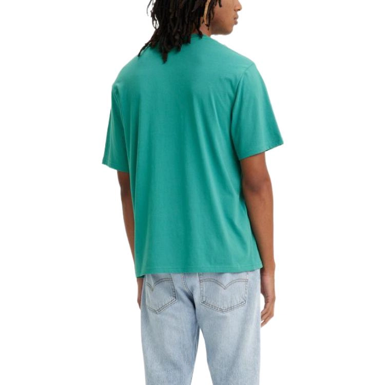 Levis T