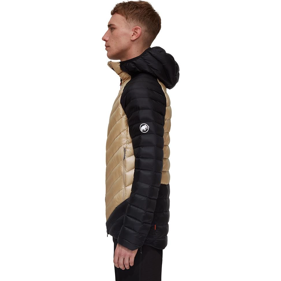 MAMMUT Broad