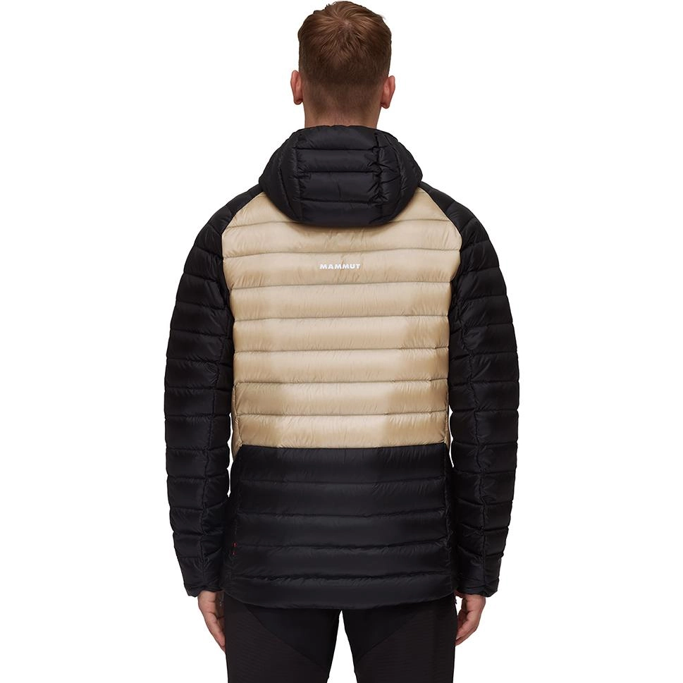 MAMMUT Broad