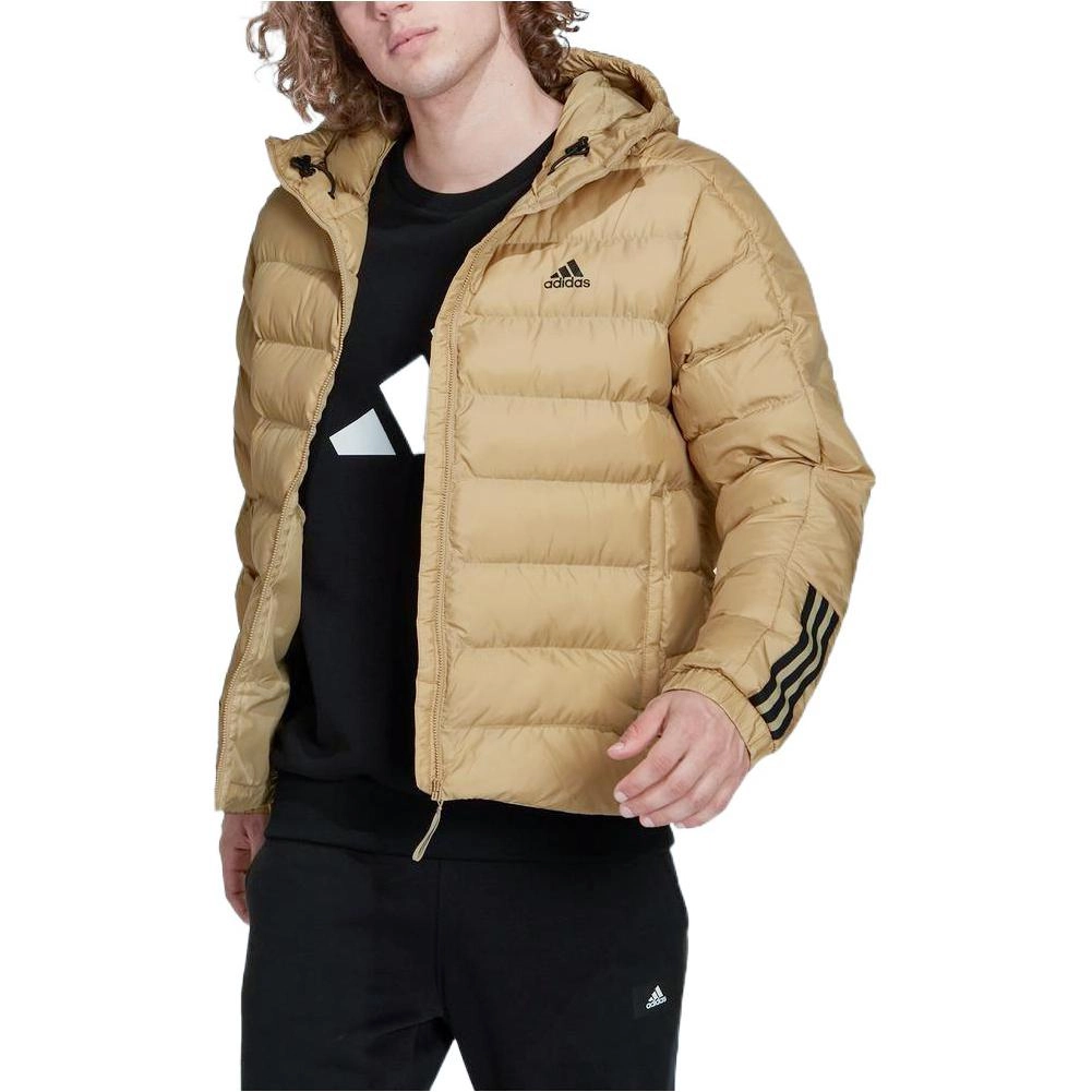 adidas Logo