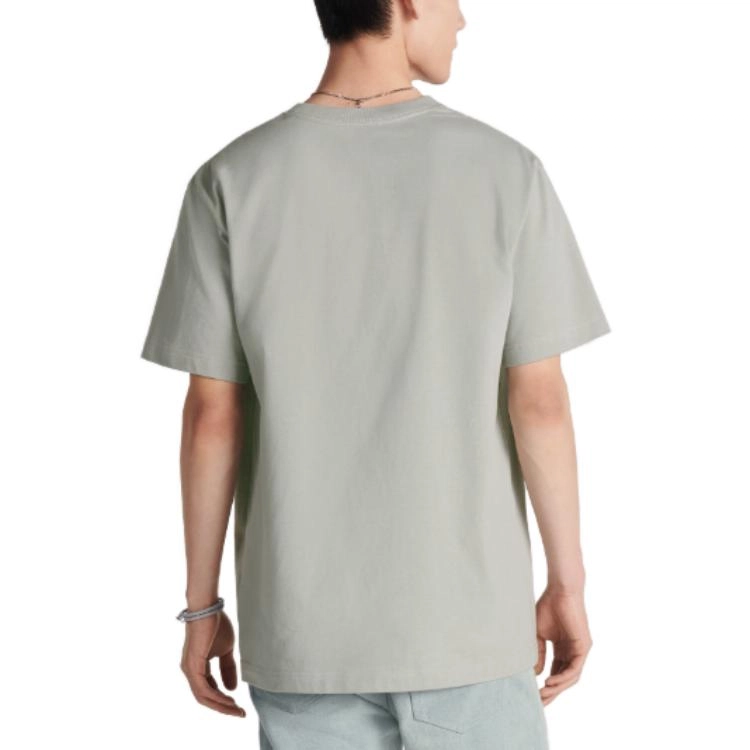 DIOR T