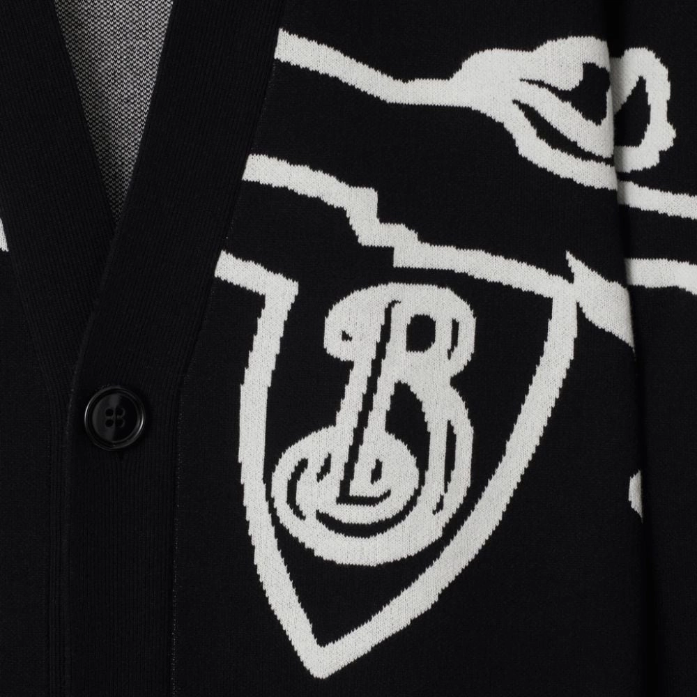 Burberry FW24 V