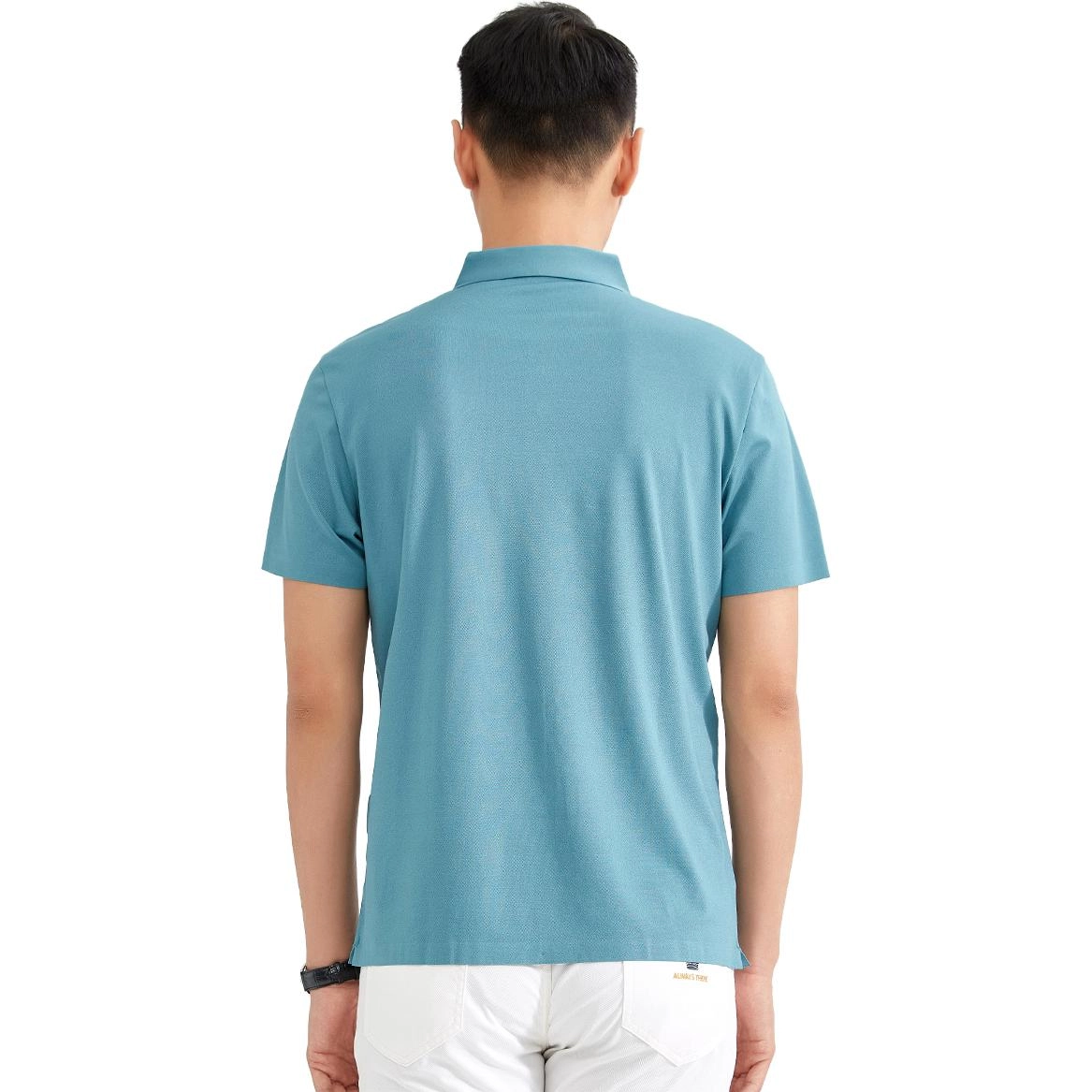 LogoPolo