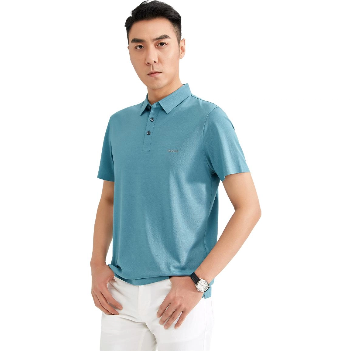 LogoPolo