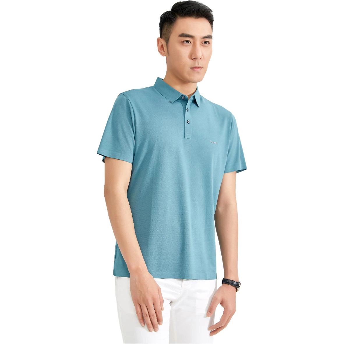 LogoPolo