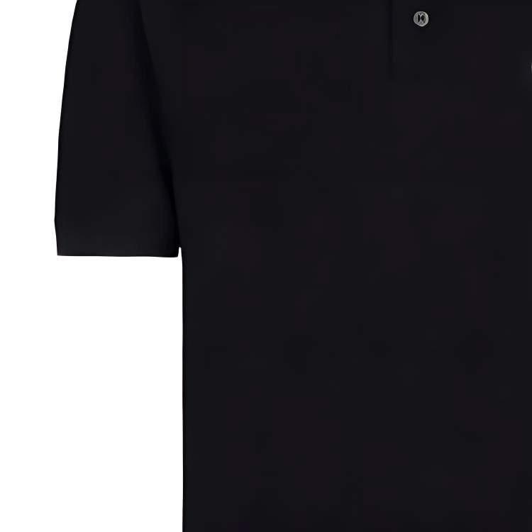 EMPORIO ARMANI FW22 EaPolo