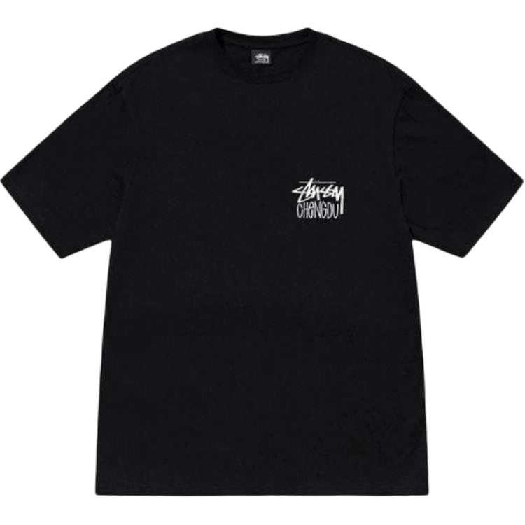 Stussy FW24 T