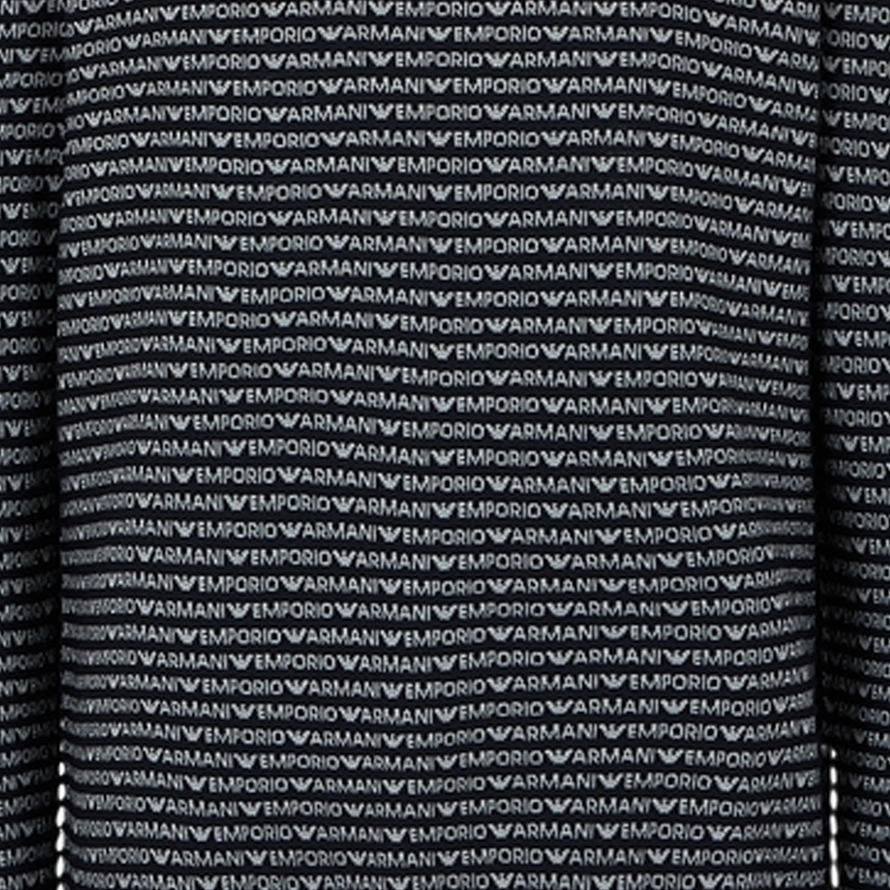 EMPORIO ARMANI SS24 Logo