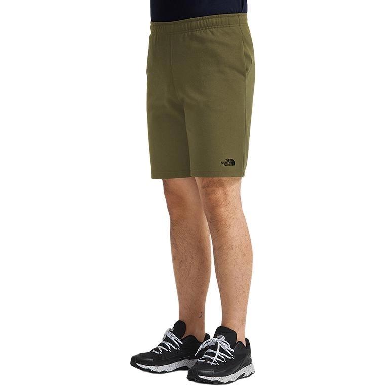 THE NORTH FACE Logo