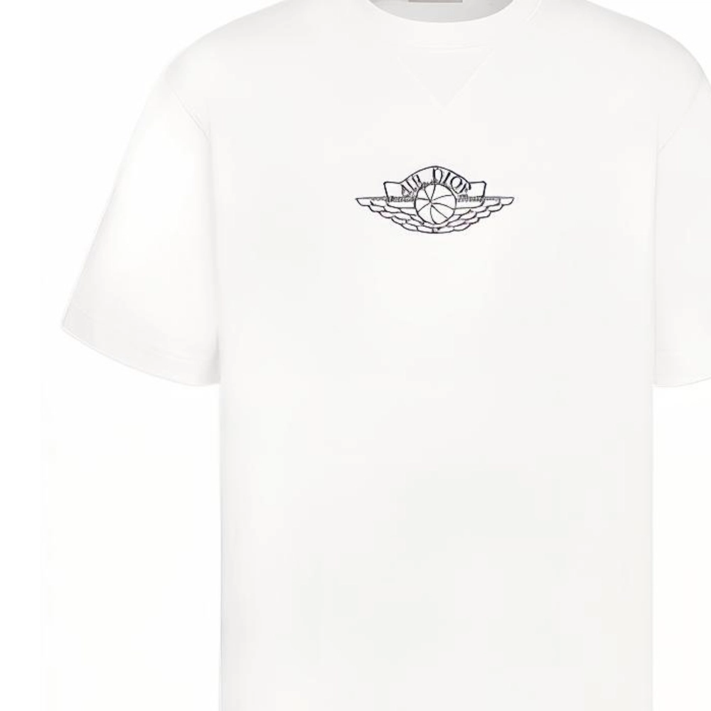 DIOR x jordan T